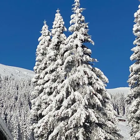 Appartement Ferienwohnung Lachtal