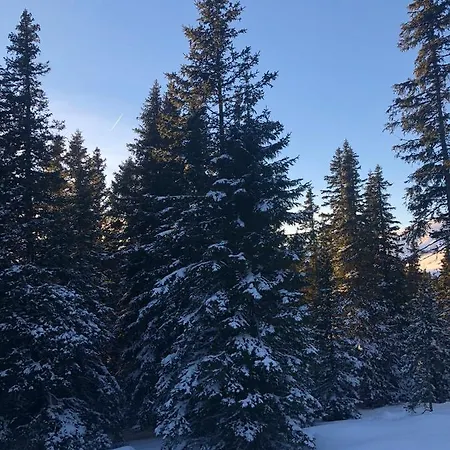 Ferienwohnung Lachtal * Lachtal