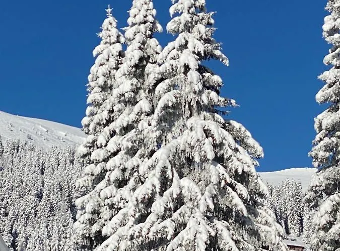 Apartament Ferienwohnung Lachtal