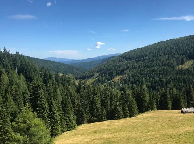 Ferienwohnung Lachtal Apartament Lachtal