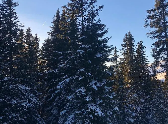 Ferienwohnung Lachtal * Lachtal